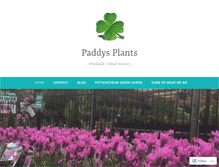 Tablet Screenshot of paddysplants.com